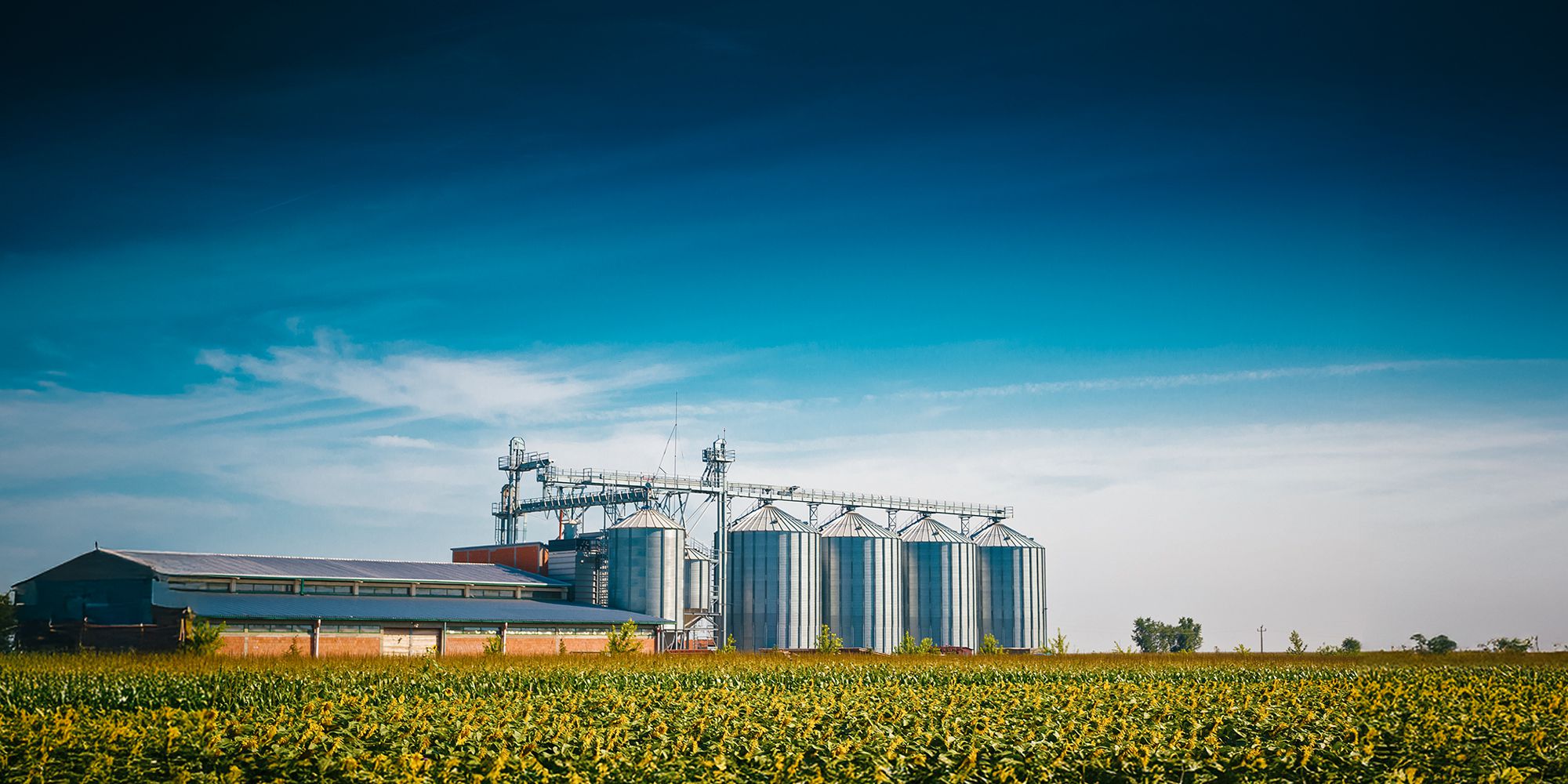 Foto Banner Bransilos