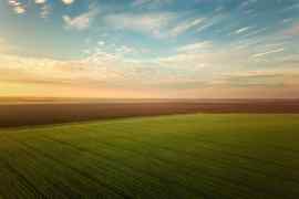 Foto do post Novidades na Produção de Soja no Paraná